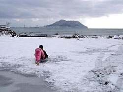 穏やかな大晦日を迎えました。