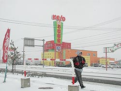 そろそろ始動!