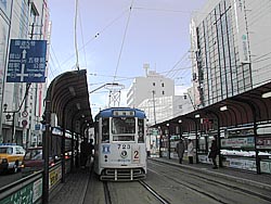 このまま春がきそうな…。