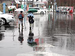 雨なのか、雪なのか。