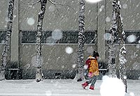 降ってますね。