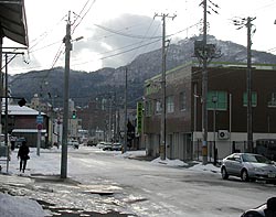 白髪まじりな山。