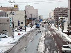 車道はまあまあいいけど、歩道がたいへん。