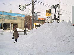 ヒサビサに、こんもり。