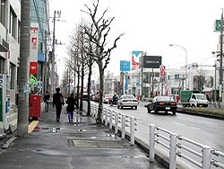 小雪模様。