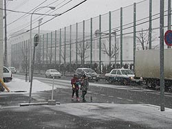 寒いし、吹雪いてるし。