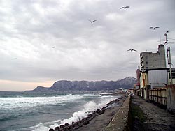 きょうの海はこんな感じ。