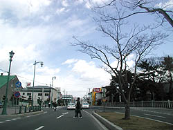 散歩日和だなぁ。