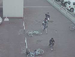 最近風強くて寒いですよね。
