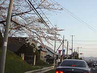 もーそろそろ・・・