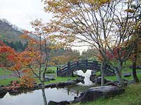紅葉、紅葉っと。