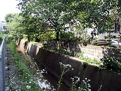 木々も葉っぱもきもちよさそうで。