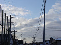 雪が降りませんねぇ。