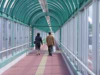 温室みたい。