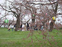 もうちょっとかな。
