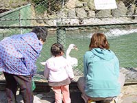 結構楽しめるんですよね。