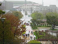 雨降りの元町公園。