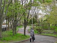 繁ってきましたなぁ〜。
