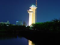 並んだタワー。