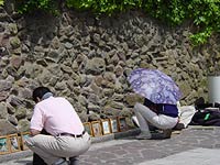 どれがいいかな〜?