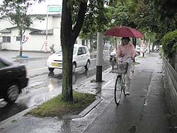 雨ねぇ。