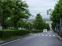 天気わる〜いですね。。。