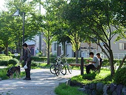 散歩タイム&遊びタイム?