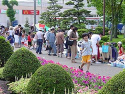 あちらこちらで。