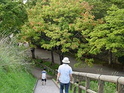 少しずつ色づいてきました。