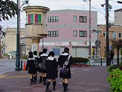 これから何を見るのかな〜?