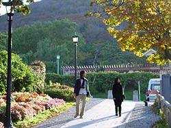 すっかり紅葉ね