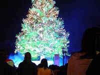 クリスマスファンタジー始まりました!