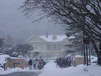 ご、豪雪。。。