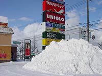 市内でも、積もってます〜。