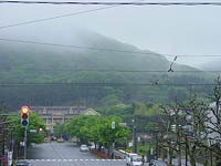 雨、でしたねえ。。。