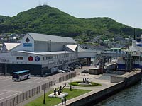 夏山に変身!