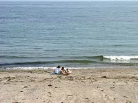 夏だ!海だ!