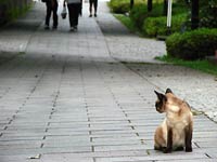 ヒトに慣れてますな。
