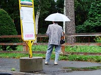 何か出てきそうな雰囲気?