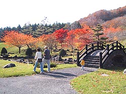 ぽかぽか陽気。