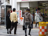 まだまだお正月ムード?