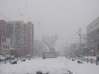 吹雪すごいです〜〜っ!