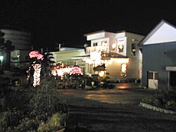 クリスマス支度なのね。