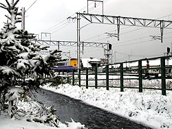 初雪!