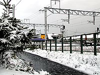 初雪!