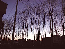きょうの夕焼け、とてもきれいでしたね〜。