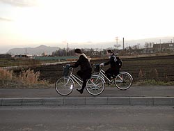 寒いけど雪がないからね。