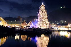 港のクリスマス! 始まりましたねぇ。