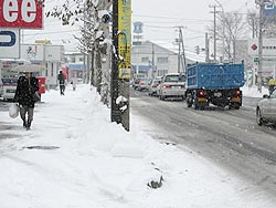 重たい雪だわ。