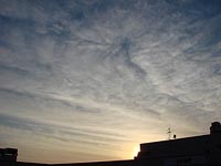 秋ですねえ。